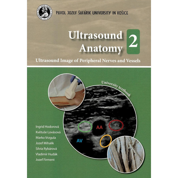 Ultrasound Anatomy 2