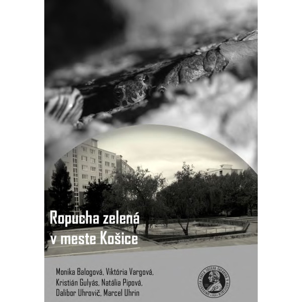 Ropucha zelená v meste Košice