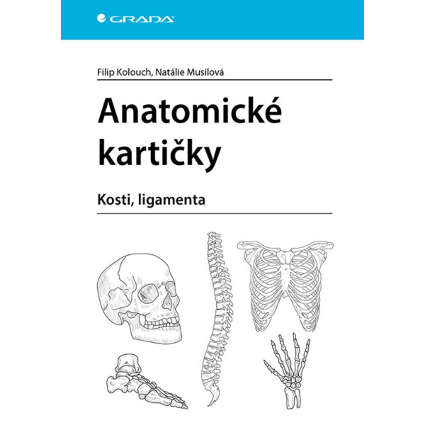 Anatomické kartičky