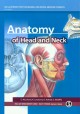 Anatomy of Head and Neck