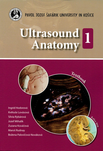Ultrasound Anatomy 1