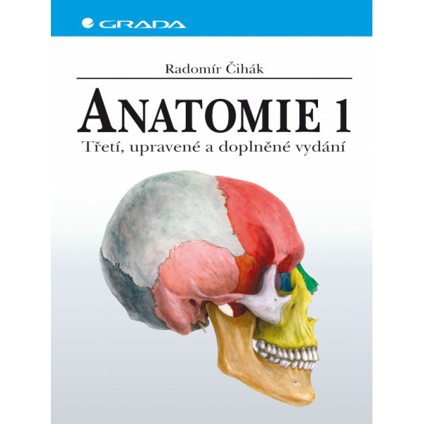 Anatomie 1