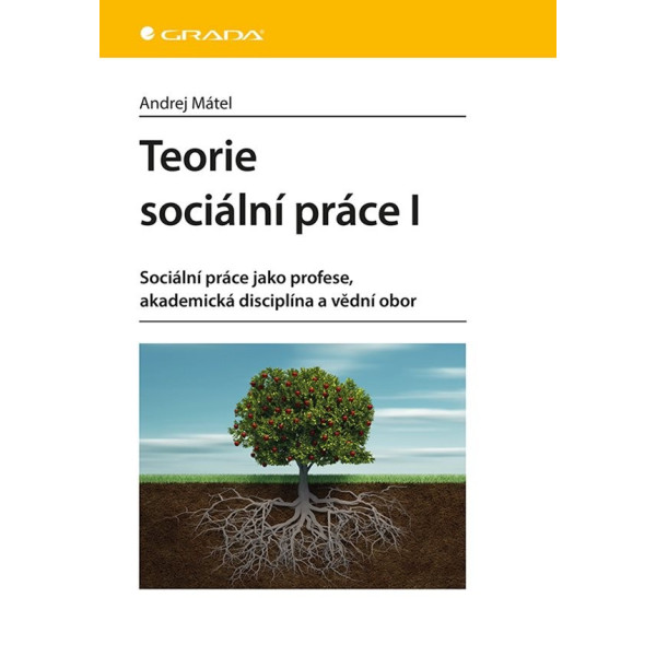 Teorie sociální práce