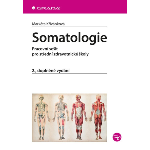 Somatologie