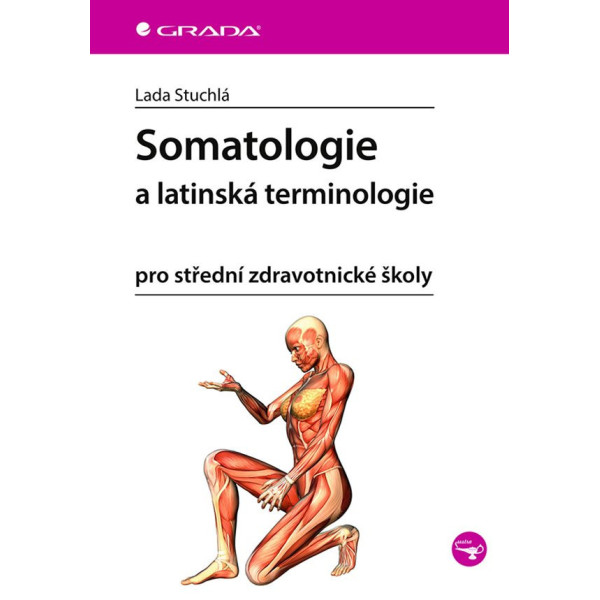 Somatologie a latinská terminologie