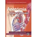Anatómia trupu a končatín