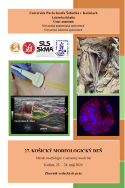 27.KOŠICKÝ MORFOLOGICKÝ DEŇ - Miesto morfológie v súčasnej medicíne